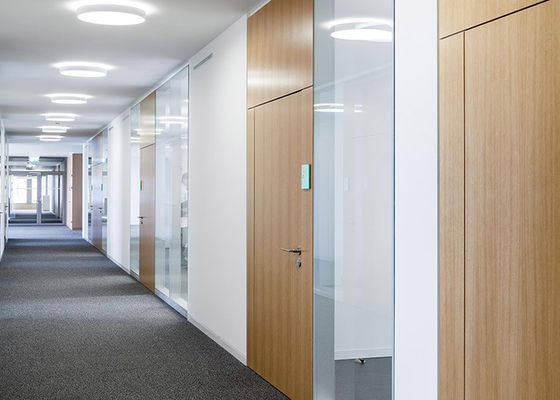 solide scheidingswand kleur optioneel met Triamine board HPL staalpaneel binnen